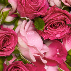 Rose - Pure-Castile Magic Bar Soap